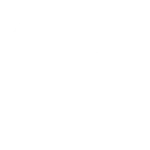 2 Oceans Maritime Academy Logo